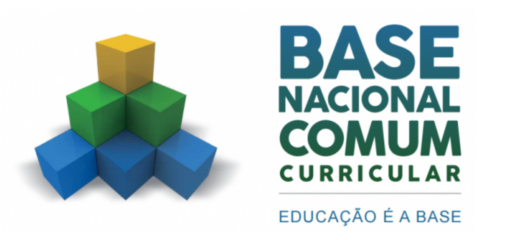 A contribuição da Vanzolini na construção da Base Nacional Comum Curricular (BNCC)