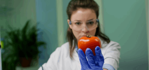 ISO 22000: O que é e qual a sua importância para a segurança dos alimentos?